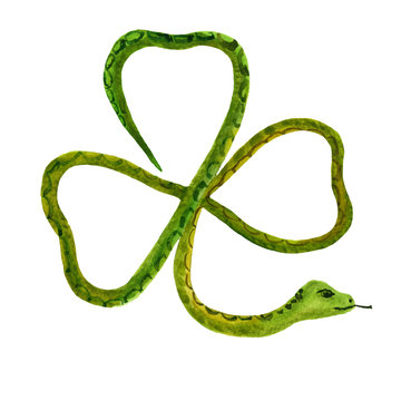 Green snake in the form of a shamrock. Hand-drawn watercolor illustration. Funny element for St. Patrick's Day celebration and design with Irish symbols