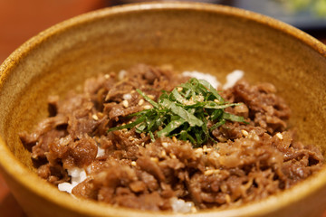 Japanese Rice Bowl