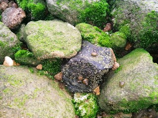A beautiful landscape of rocks on a beautiful beach
