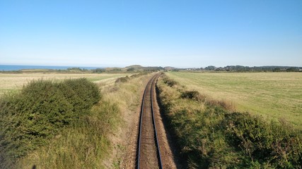 road in the field