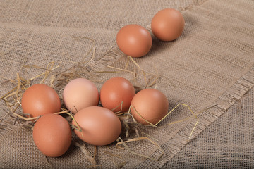 Healthy homemade eggs in hay on linen canvas background. Easter concept.