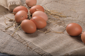 Healthy homemade eggs in hay on linen canvas background. Easter concept.