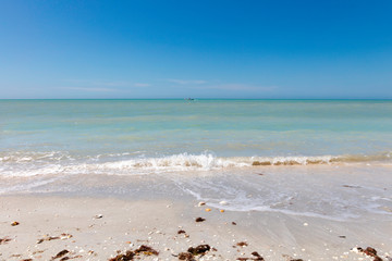 Beach with shells and waves in the background a boat