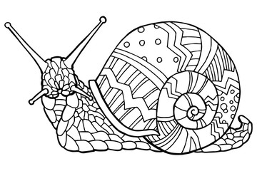 Jpeg illustration. Hand drawing snail. Coloring page. The original print. Illustration for a children's book. Coloring book for children and adults.