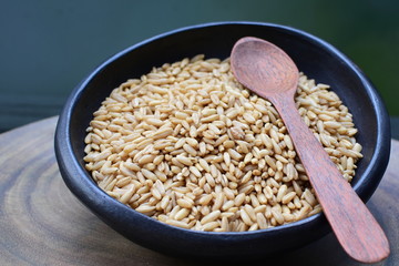 Oat grains accompanied by wheat ears in containers for display