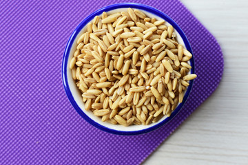Oat grains accompanied by wheat ears in containers for display