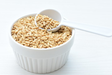 Oat grains accompanied by wheat ears in containers for display