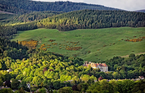 Summer on the Moorfoot Hills, Peebles, Scotland
