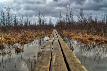Obraz premium Rickety wooden boardwalk over swamp during rain