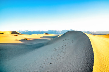 Mesquite Dunes in Death Valley National Park at Sunrise
