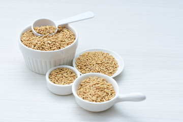 Oat grains accompanied by wheat ears in containers for display