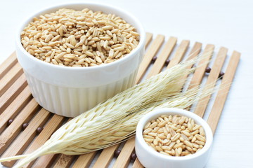 Oat grains accompanied by wheat ears in containers for display