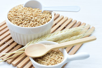 Oat grains accompanied by wheat ears in containers for display