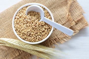 Oat grains accompanied by wheat ears in containers for display