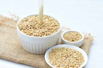 Oat grains accompanied by wheat ears in containers for display
