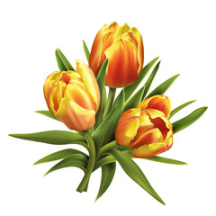 Colorful tulips bouquet isolated on white background.