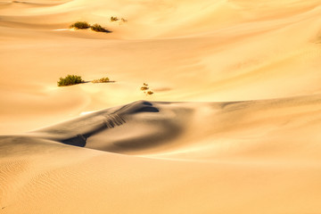 Mesquite Dunes in Death Valley National Park at Sunrise