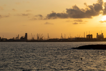 sunset over city with buildings growing, sea shore and building cranes