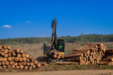Logging Equipment