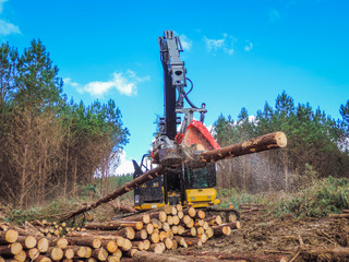 Fototapeta premium Logging Equipment