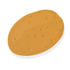Potato isolated on white background. Unpeeled potatoes tuber. Vector illustration.