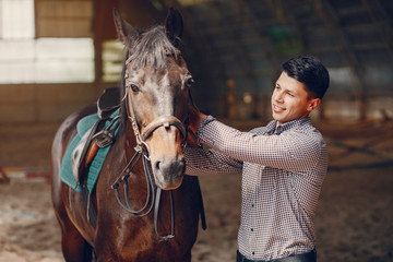 Horse theme. Businessman with a horse. Man in a shirt