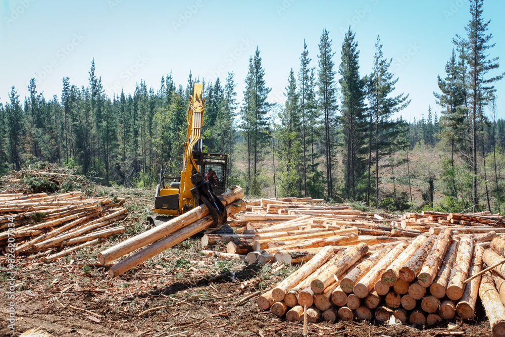 Wall mural logging equipment