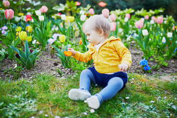 One year old girl sitting on the grass with colorful tulips
