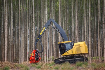 Logging Equipment