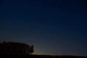 Fototapeta premium 雪原と星空