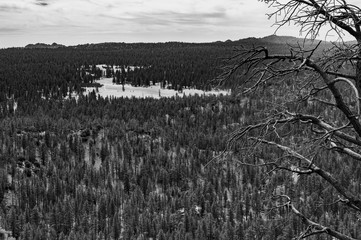 Sierra San Pedro Martir Baja California Mexico pinos y alamos picacho del diablo 