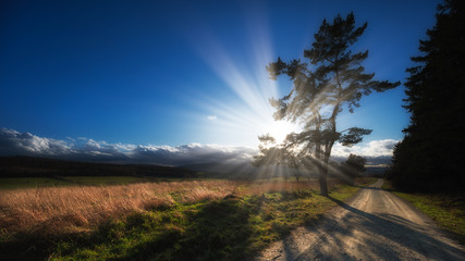 Taunus