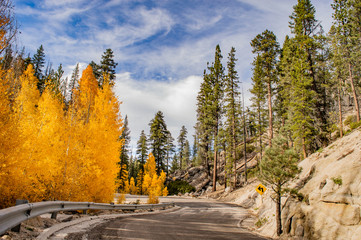 Sierra San Pedro Martir Baja California Mexico pinos y alamos picacho del diablo 
