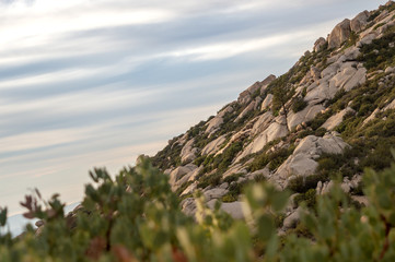 Sierra San Pedro Martir Baja California Mexico pinos y alamos picacho del diablo 