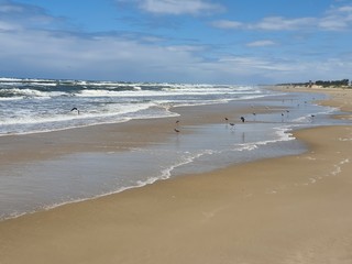 praia verão beira mar férias