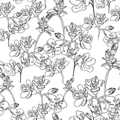 Blossom monochrome floral seamless pattern. Blooming botanical motifs scattered random. Line art vector texture. Good for fashion prints. Hand drawing ink sketch black flowers on white background