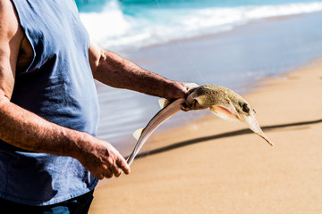 fisherman holding shove nose shark