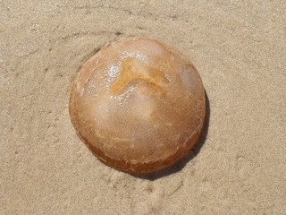 mãe d'agua na praia