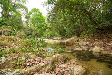 Sierra nevada de santa marta