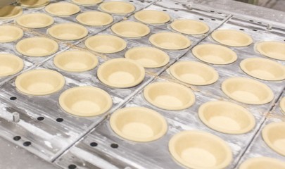 Factory Food Manufacturing