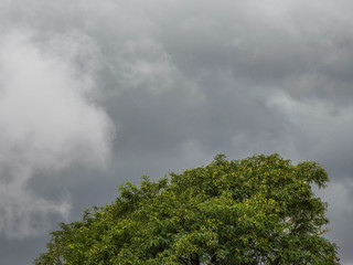 taking advantage of the cloudy sky to capture moments