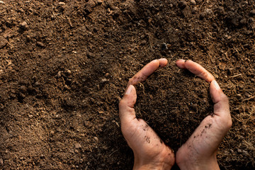 Loamy soil that is rich in man's hands. - obrazy, fototapety, plakaty