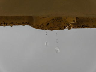 taking advantage of the rain to capture this moment of falling water droplets