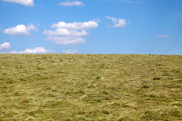 Heuwiese mit gemähtem Gras