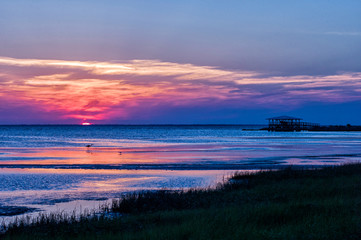 Fototapeta premium Sunset on Florida beach with water birds and a dock with gazebo in the distance