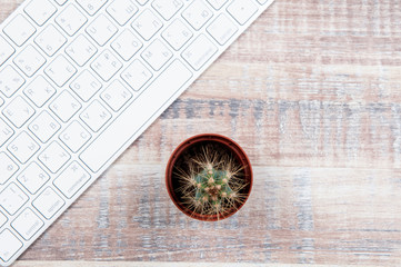 white keyboard on the table and cactus