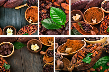 Cacao beans and powder, cacao butter and cacao nibs and chocolate on a wooden background. Collection.