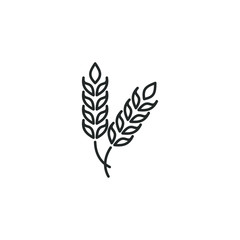 ear of wheat icon template color editable. Agriculture wheat symbol vector sign isolated on white background illustration for graphic and web design.