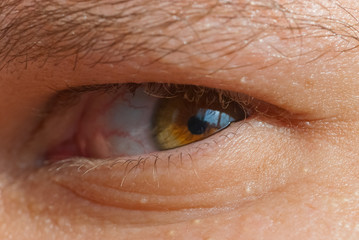 Fototapeta premium Human eye close-up.