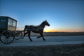 Fototapeta na wymiar Amish Horse and Buggy at Sunrise
